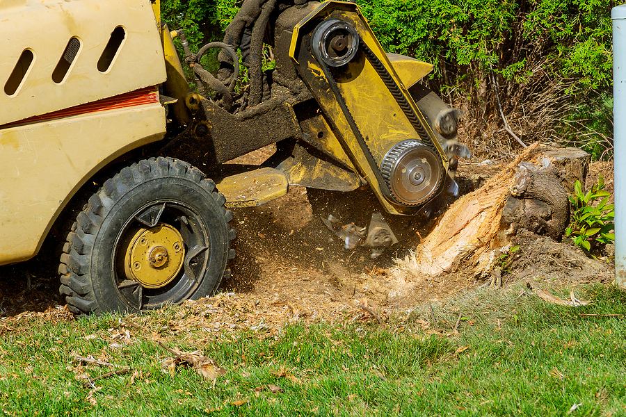 land clearing