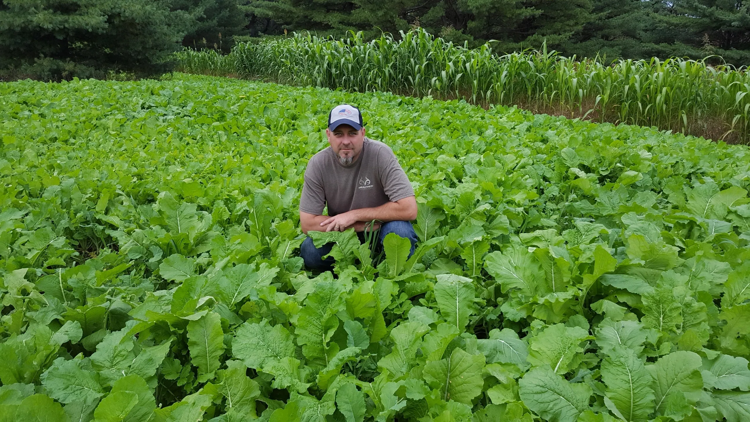 food plot seed